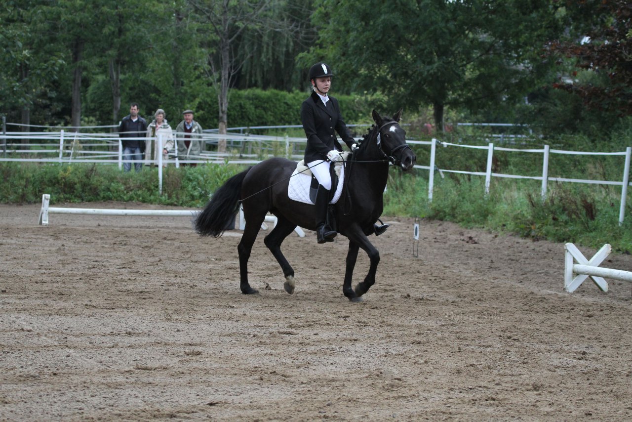 Bild 290 - WBO-Turnier am 18.9.11